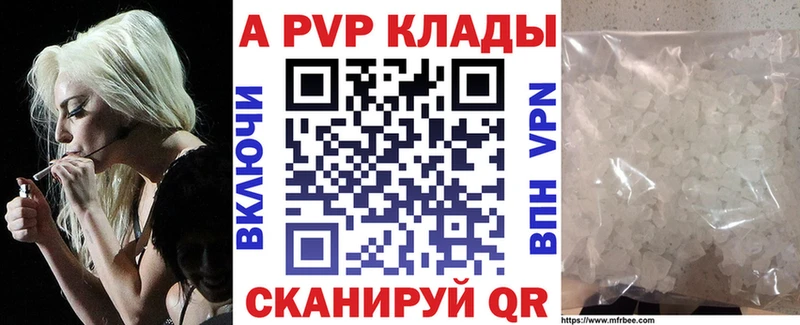 Альфа ПВП СК  Грозный 