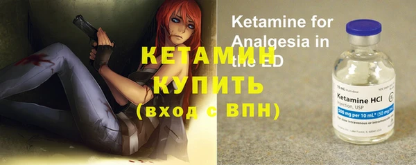 трава Новодвинск