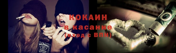 трава Новодвинск