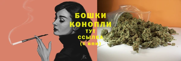 марихуана Новозыбков