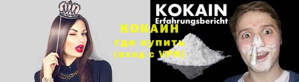 трава Новодвинск