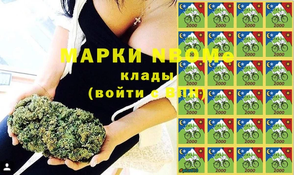 трава Новодвинск