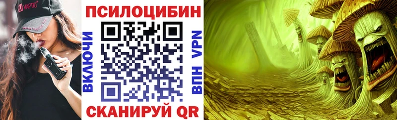 Псилоцибиновые грибы GOLDEN TEACHER  Грозный 