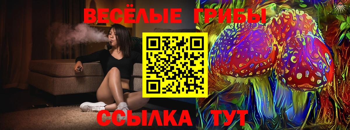 Галлюциногенные грибы GOLDEN TEACHER  Псилоцибиновые грибы ЛСД  Вход с VPN  Грозный 